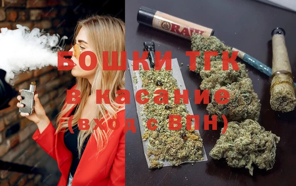 гидра Арсеньев