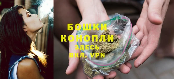 гидра Арсеньев