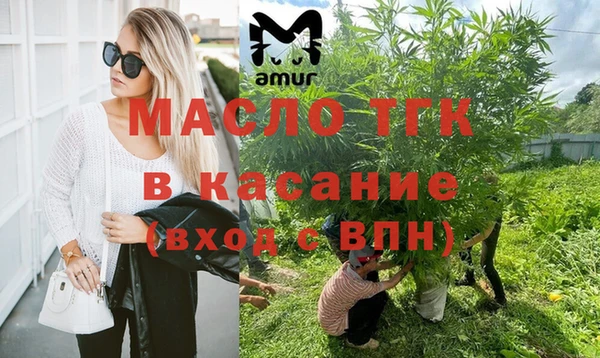 гидра Арсеньев