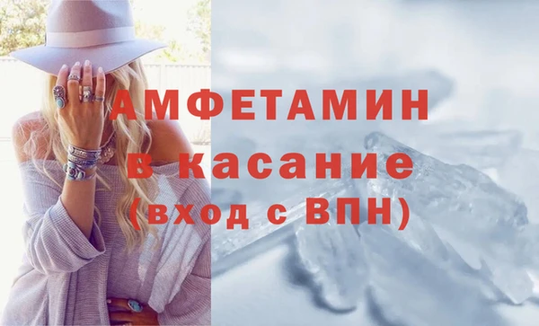 гидра Арсеньев